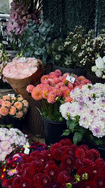 A vibrant display of fresh floral arrangements at a flower shop, featuring a variety of blooms including soft pink roses in a wrapped bouquet, clusters of bright pink and peach dahlias, white and lave