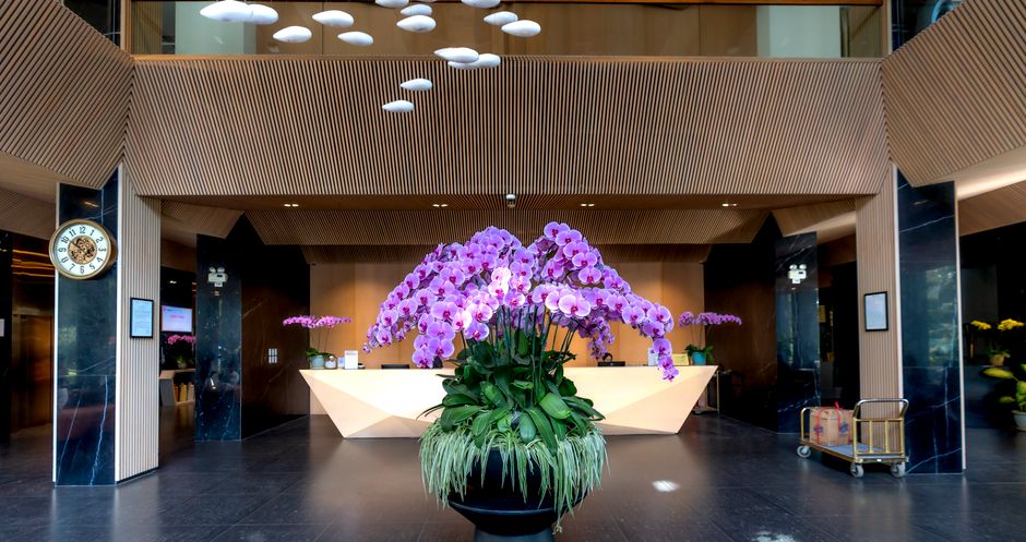 A large floral arrangement featuring vibrant purple orchids with numerous blooms on tall, slender stems, set in a black round pot filled with lush green foliage and long, grass-like leaves. The orchid